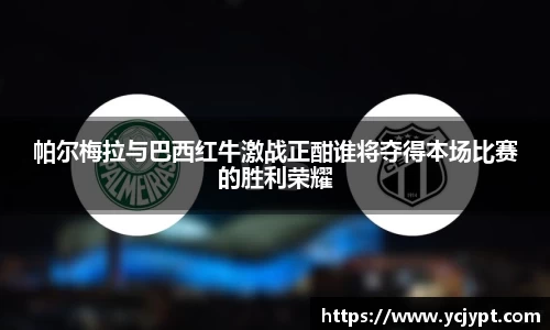 帕尔梅拉与巴西红牛激战正酣谁将夺得本场比赛的胜利荣耀